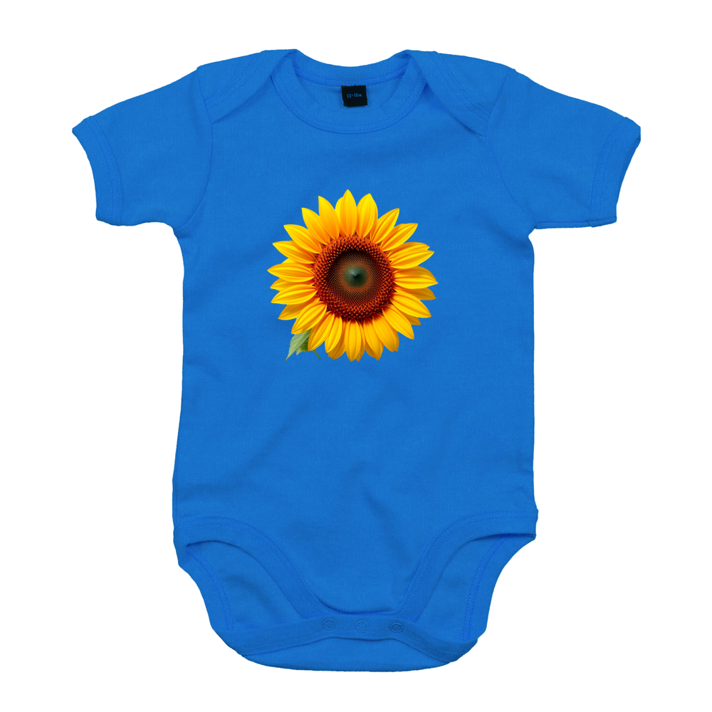 Baby cloth Odoo V1