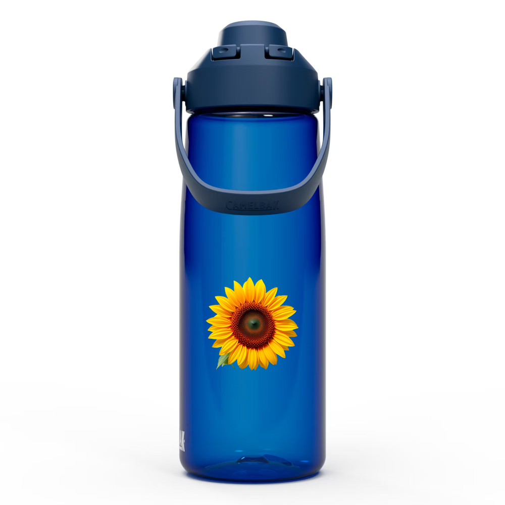 Spoke CamelBak Bottle variable